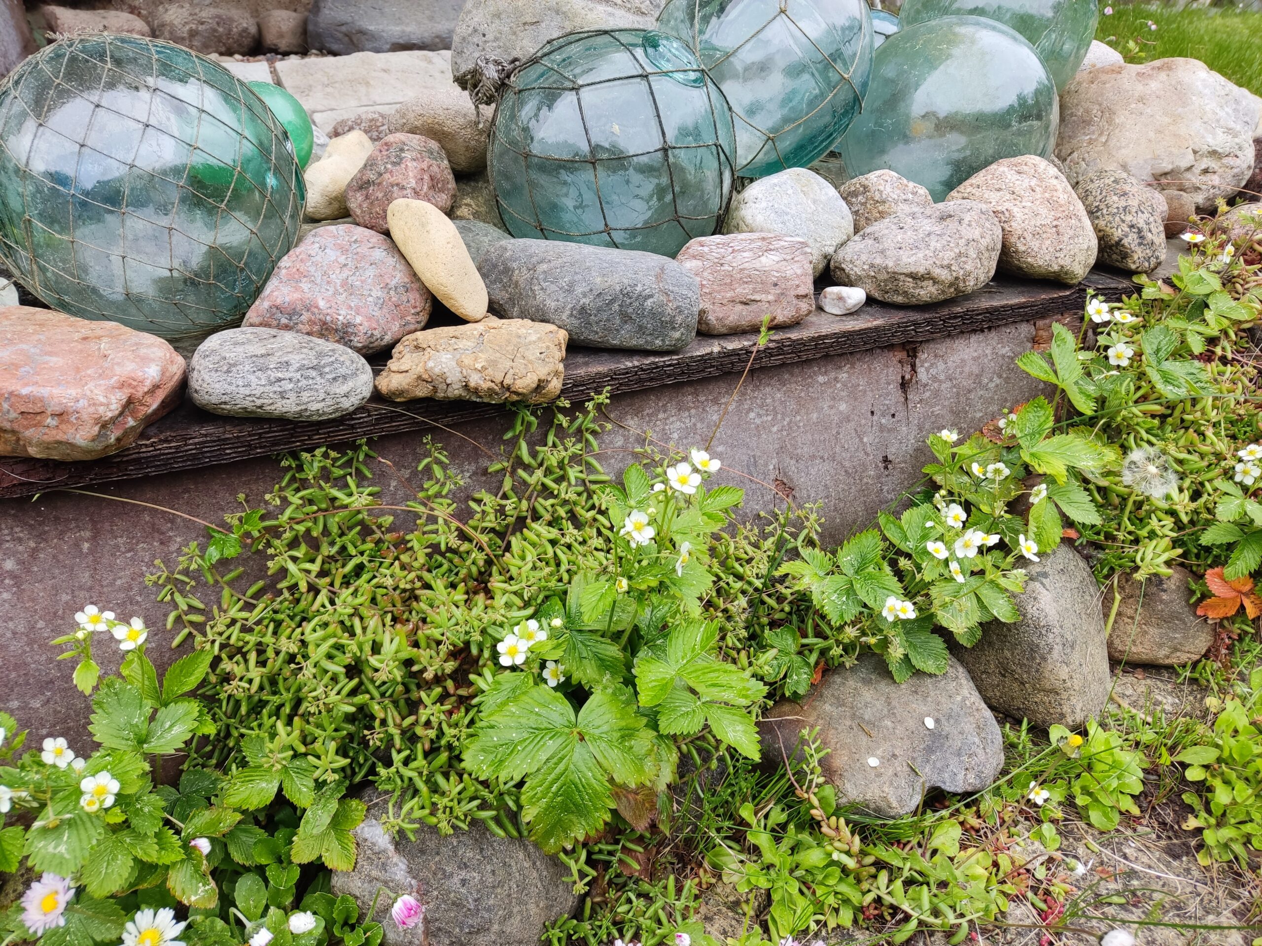 gallery-05 IMG 20250606 092649 Scaled